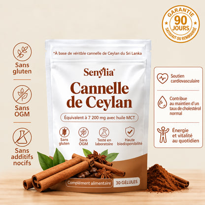 Cannelle de Ceylan – Équivalent à 7 200 mg avec huile MCT