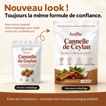 Cannelle de Ceylan – Équivalent à 7 200 mg avec huile MCT