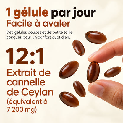 Cannelle de Ceylan – Équivalent à 7 200 mg avec huile MCT